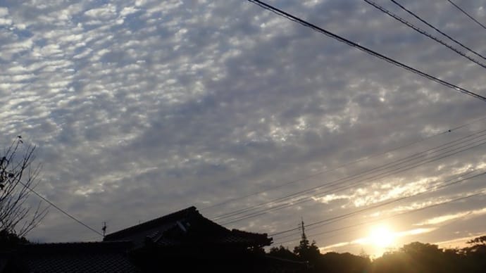 空はうろこ雲で覆われていました!10月30日のことです。