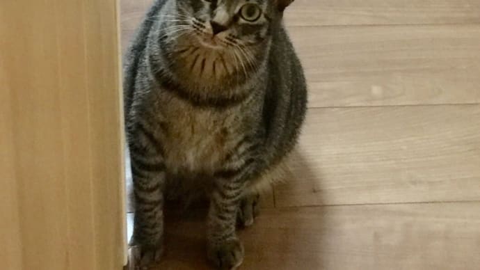 心はいつでも