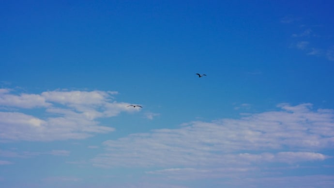 青空に鷺が飛ぶ風景と それを見るマンガ風女の子　