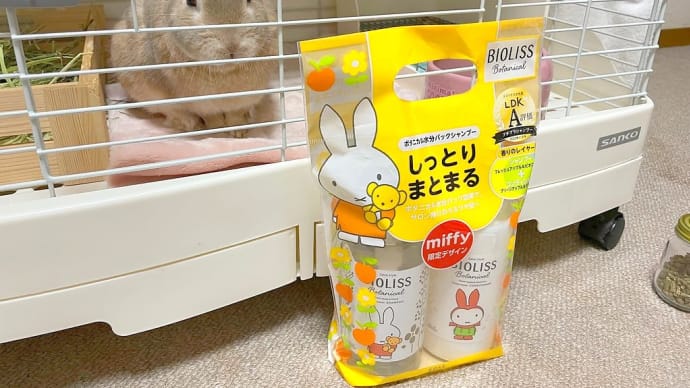 うさぎってだけで。