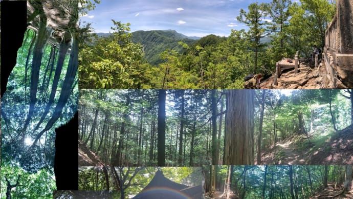 この世は天国 美人に溢れている日本 パワースポット巡り 初の三峯神社 登山 奥宮 秩父 奥秩父の自然の山林 森林浴 音と風と緑と虫と空と水と七夕 縁結びの木 運命を開く妙法ヶ岳の頂上へ登頂のエネルギー