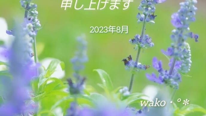 残暑お見舞い・°*