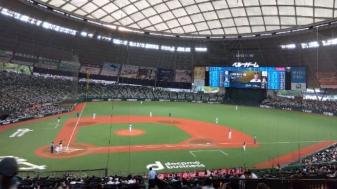 野球観戦