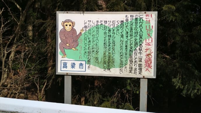 臥牛山へ靴慣らし!