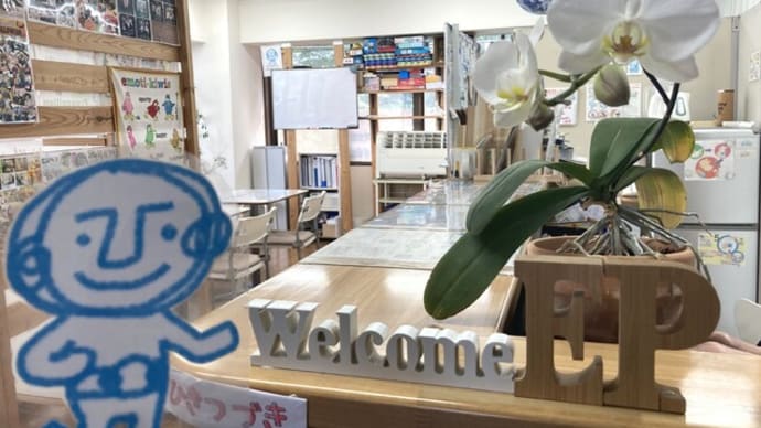 自分の英語に自信がない…自分の間違いに自分で気づける基礎英語力をつける第一歩!English Plusレッスン受講生用2023年12月第3週英語レッスンの復習