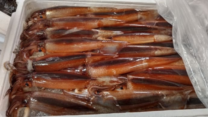 暑いのは嫌いだけどテンション↑