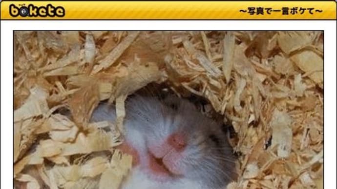 回復を待つ