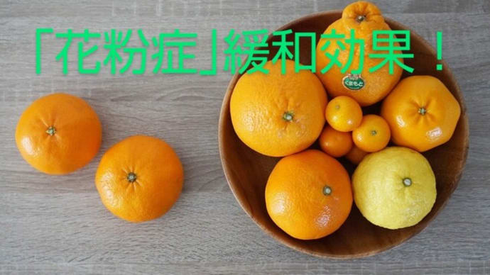 【よもやま噺】今ごろ情報！柑橘に花粉症効果