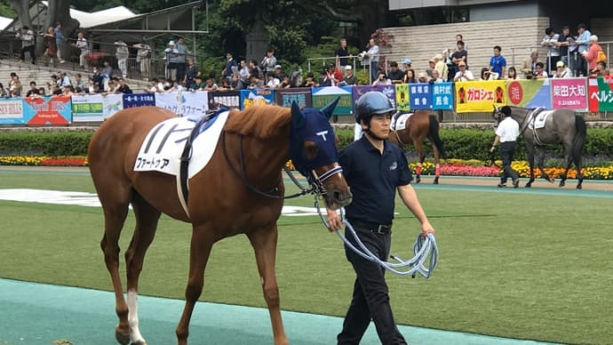 ファートゥアが無観客競馬で走ります。