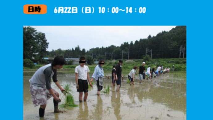 田植え体験をしてみませんか?