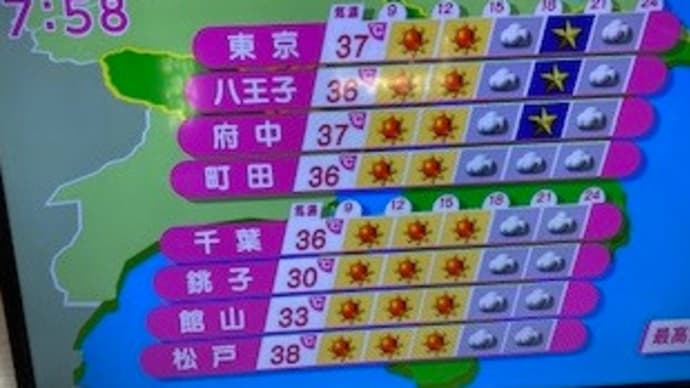 今朝の散歩あきらめた! / 夫の一言・・・