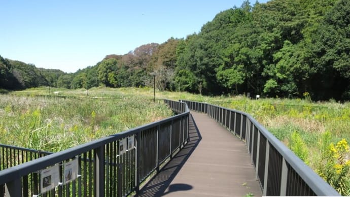 遠藤笹窪谷公園・健康の森~ポタリング