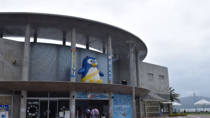 再開後の長崎ペンギン水族館