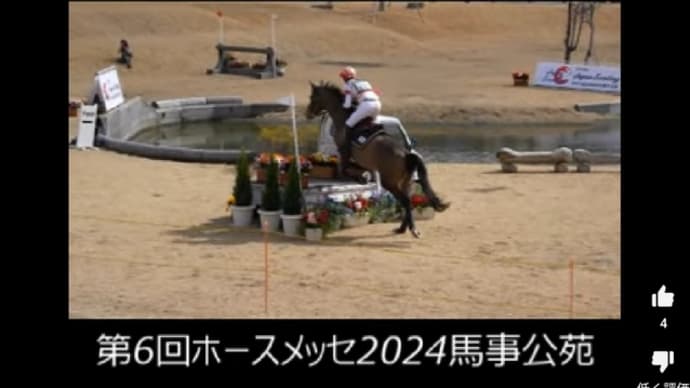 2024/02/13 乗馬が軽トラを跳んでいる。😁