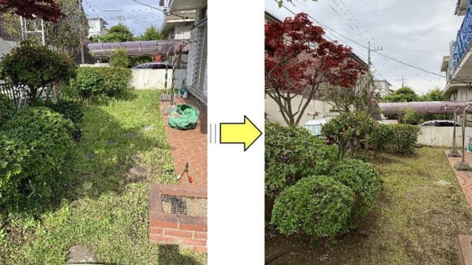 芝生のある個人邸の芝刈りと剪定作業