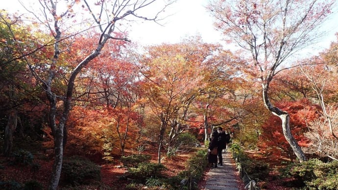 ☆散り紅葉も美しい * 宝筐院