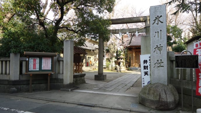 千住仲町、氷川神社の桜