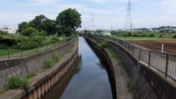2023神奈川河川ポタリング『鳩川』④見取橋~平和橋