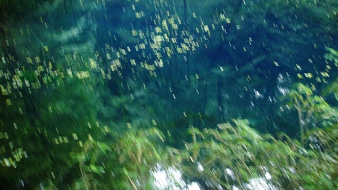 リビアで豪雨で1000人以上死亡か!?&No2のネクステージ社長辞任,BM出身&北朝鮮金,露ウラジオストックへ&震災12年半,リゾートしらかみ」で白神山地12湖,青池へ・・&G20印,国名変更か!?