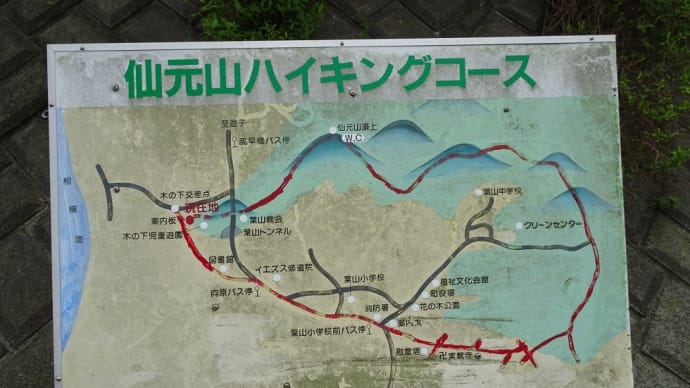 仙元山ハイキング
