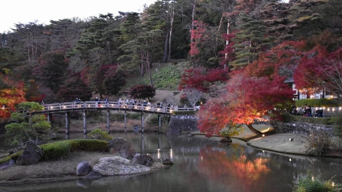 もみじ狩り 静岡県伊豆市修善寺 虹の郷 日本庭園(6)マジックアワー