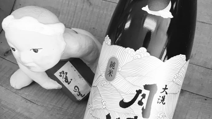 雪見酒と洒落込む・・「月の井 純米酒R 3BY」