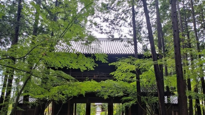 ~ 8/20 本日のお写ん歩! ~