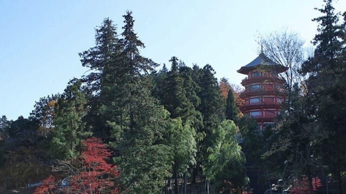 初冬の五重塔 山口観音