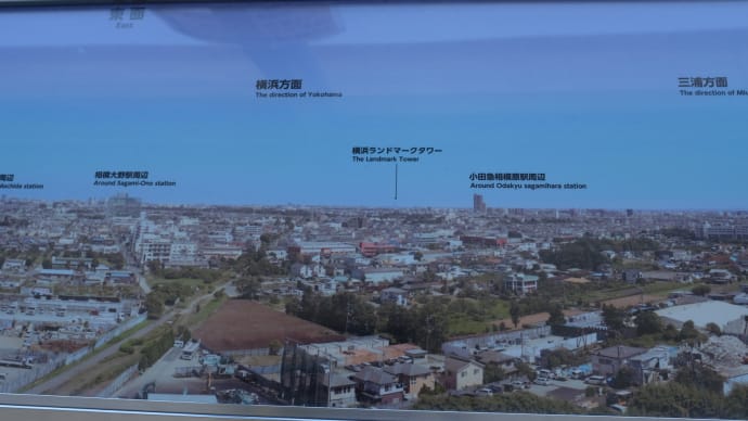 20220430 相模原公園で城山を 09 Fujifilm-Digtal Camera X100T