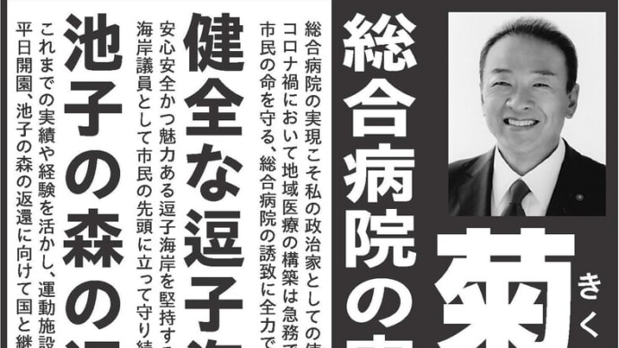 一般質問要旨と選挙公報