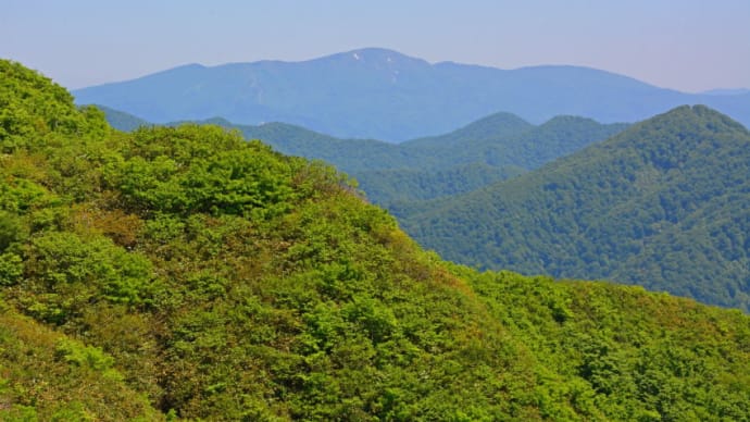 初夏の森吉山。(2016年6月5日)