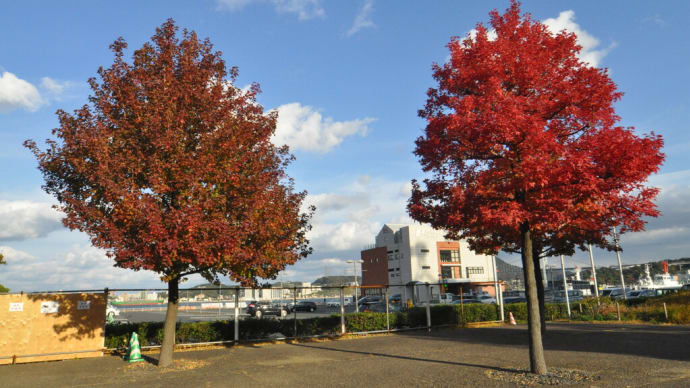 門司港レトロの紅葉とイベント 艦艇公開 と 「光る君へ」巡回展