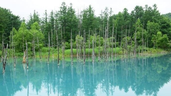 今月のテンプレート（Ｎｏ２７）美瑛の青い池