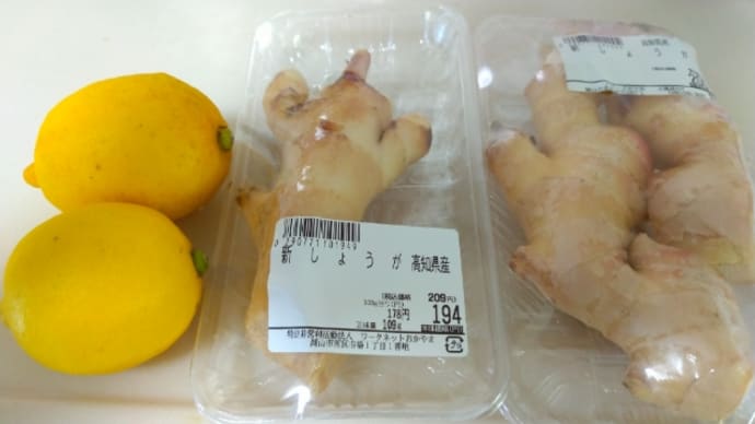 ジンジャーエールと しょうがの佃煮