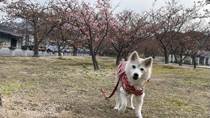 よいお年を♪