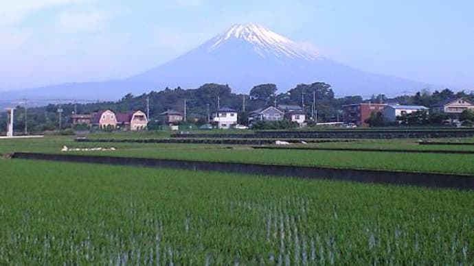 カメと富士山