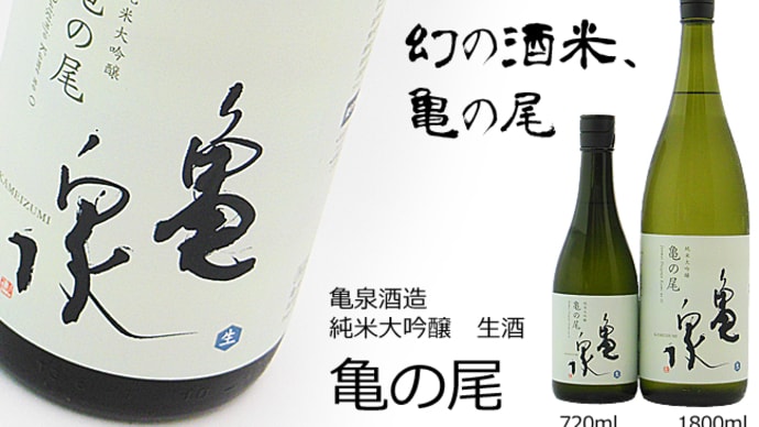 "4年ぶりに発売" 「亀泉酒造 純米大吟醸 生酒 亀の尾」@西寅