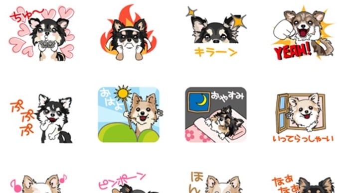 ラインスタンプ☆チワワ@イイナミショップ♪