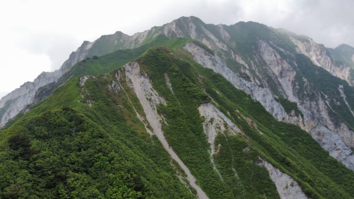 伯耆大山のお花畑(^_^;)