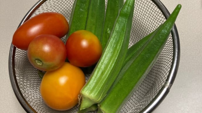 庭の野菜に感謝