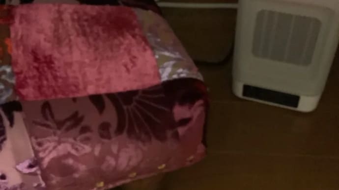 ふわもこ第2段