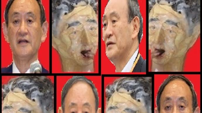 解散総選挙は総理の専権事項、おごれる菅義偉はひさしからず