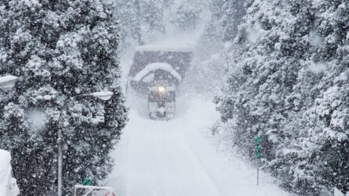 2013年1月の雪景色
