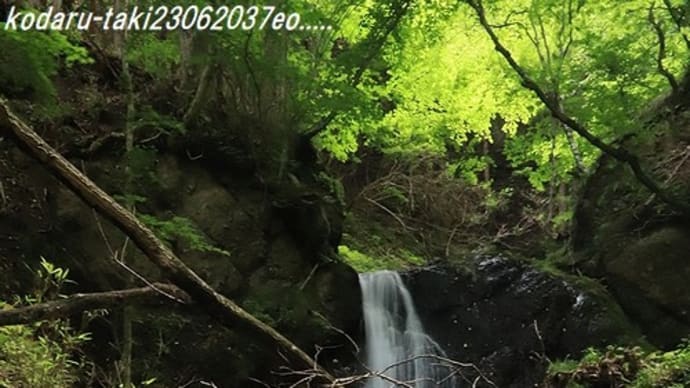寒沢の滝　（松本市入山辺）
