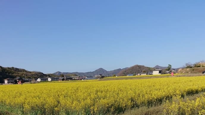 川之江~まんのう〜春を感じるライド_94キロ_20220327(日)