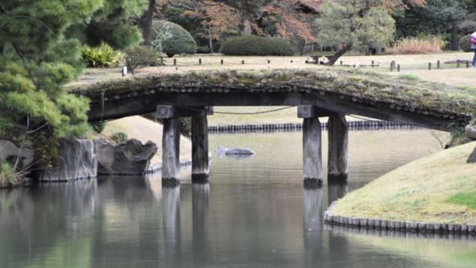 六義園　渡月橋の石橋を渡る　　　　　12