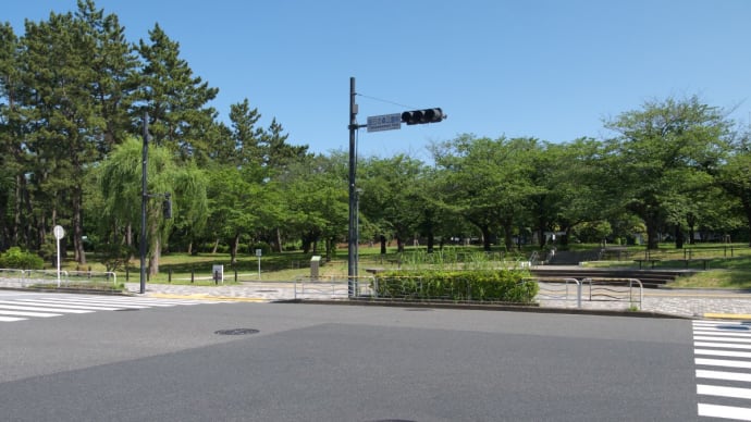 6月の辰巳の森海浜公園:辰巳二丁目地区内からJR京葉線新木場駅前まで PART1