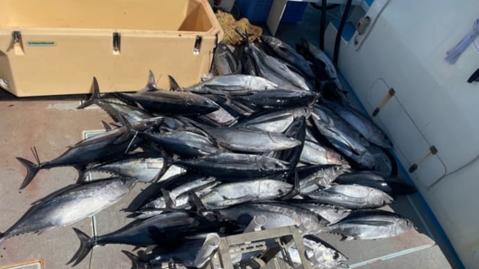 16日・釣果