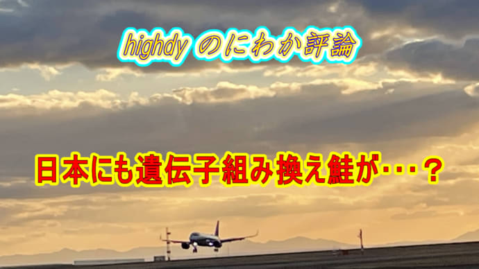 日本にも遺伝子組み換え鮭が・・・?