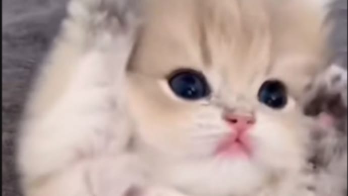 今日も